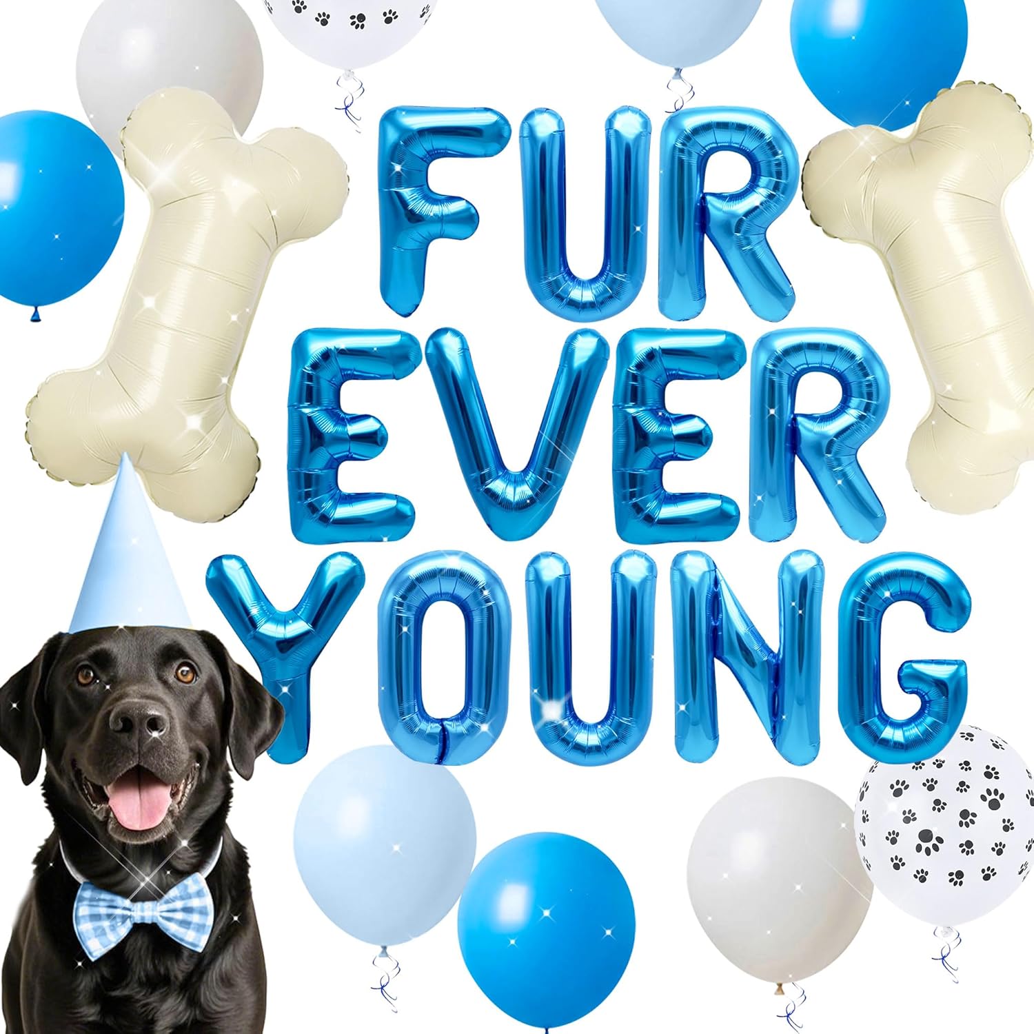 Pet Supplies Young - 15 PCS Blue Dog Birthday Party