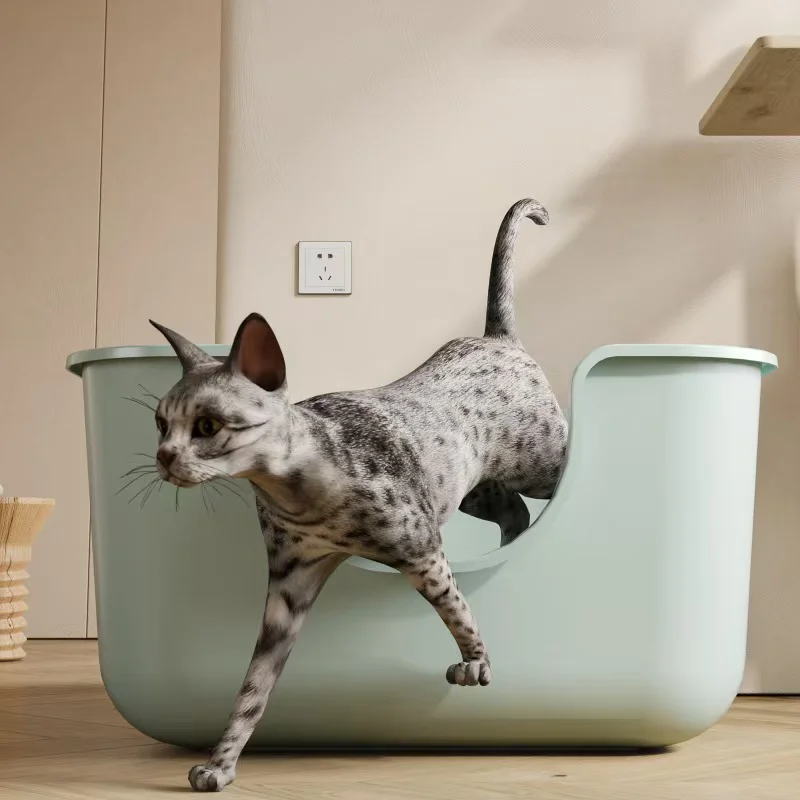 Oversized Cat Litter Box Extra - Pet Supplies Young 리뷰 및 가격
