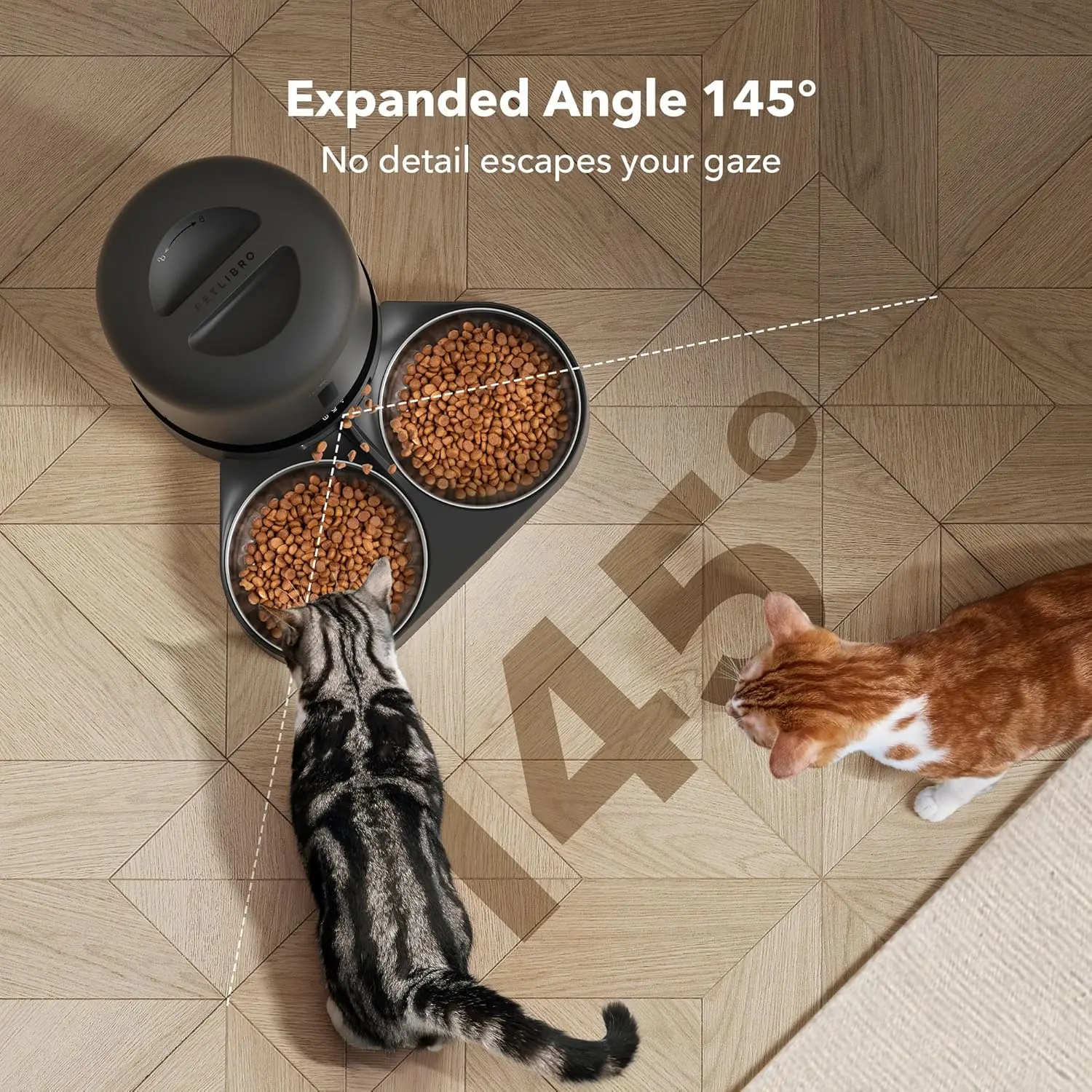 Automatic Cat Feeder with Came - Automatic Pet Feeder 리뷰 및 가격