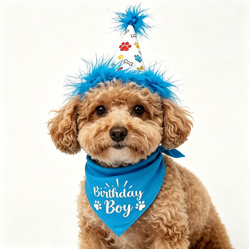 Dog Birthday Party Set Bandana - Pet Supplies In Bulk 리뷰 및 가격