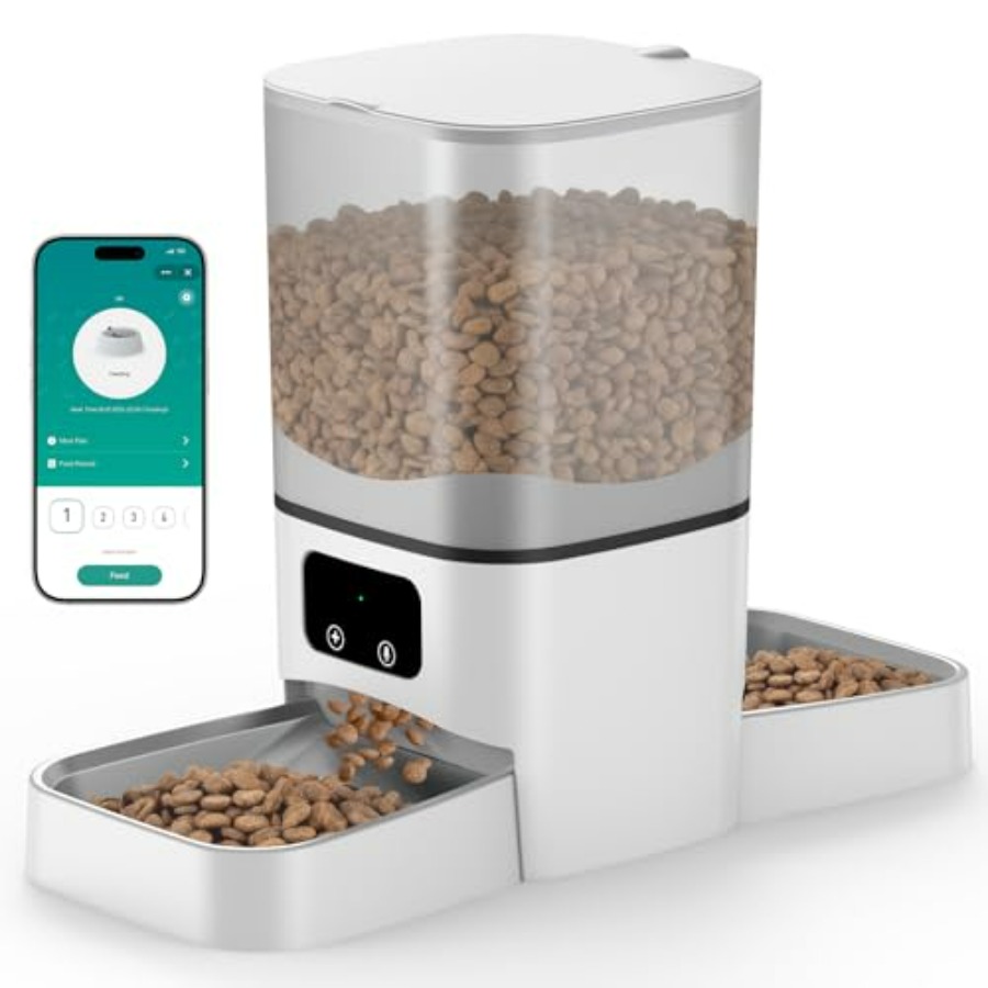 Automatic Cat Feeder for 2 Cat - Automatic Pet Feeder 리뷰 및 가격