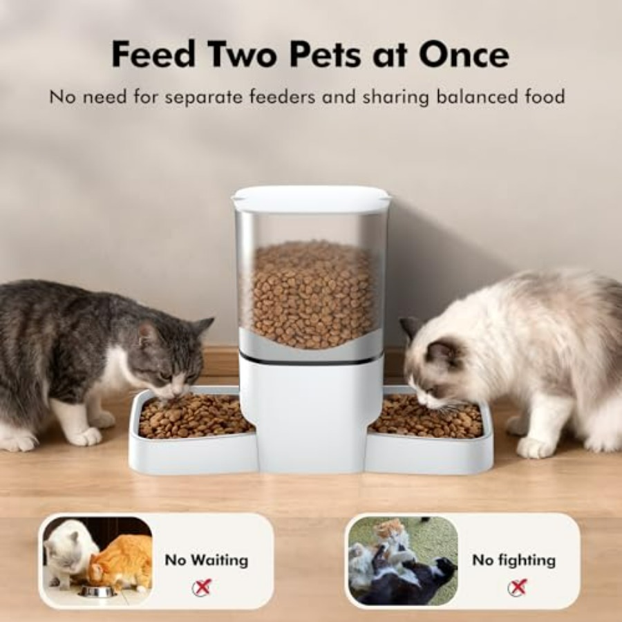 Automatic Cat Feeder for 2 Cat - Automatic Pet Feeder 리뷰 및 가격