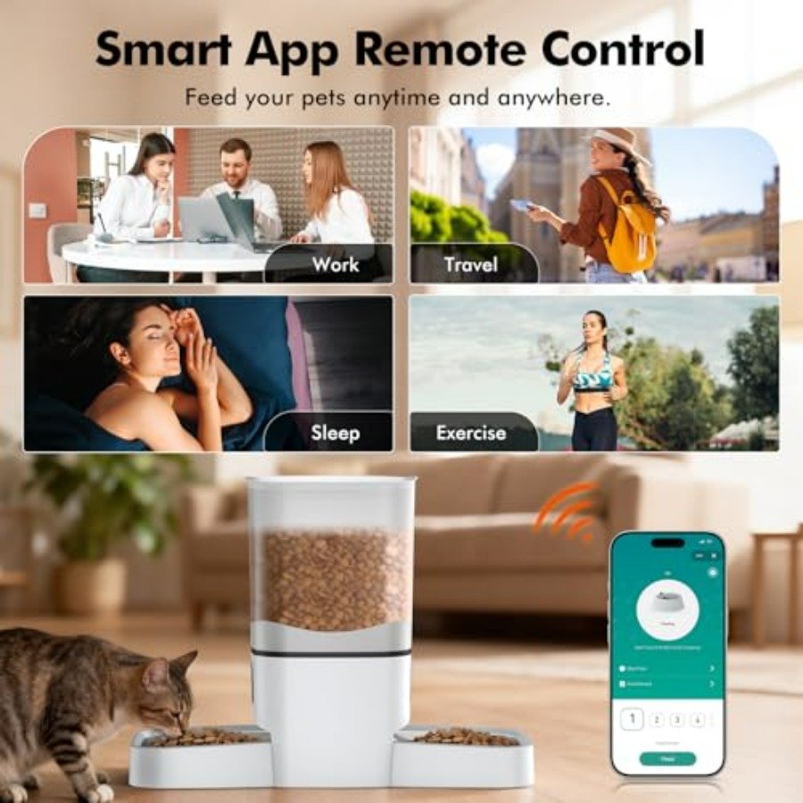 Automatic Cat Feeder for 2 Cat - Automatic Pet Feeder 리뷰 및 가격