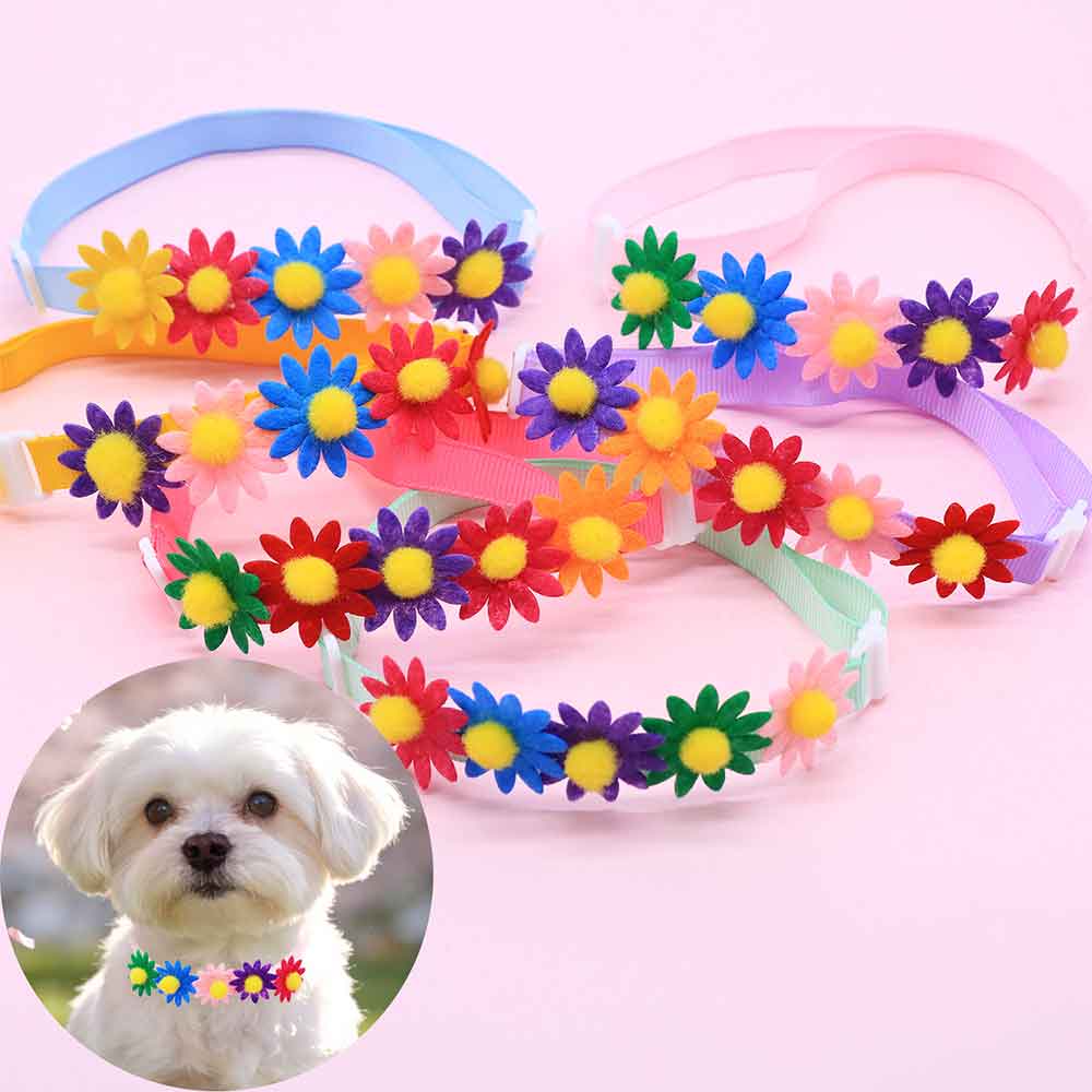 50PCS Colorful Dog Bowties Flo - Pet Supplies In Bulk 리뷰 및 가격