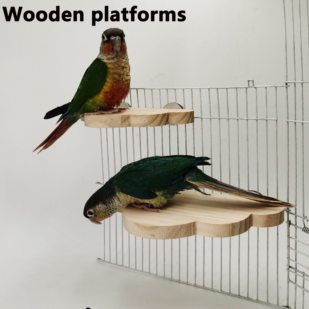 PARKER Pet Bird Parrot Log Sta - Pet Supplies Login 리뷰 및 가격