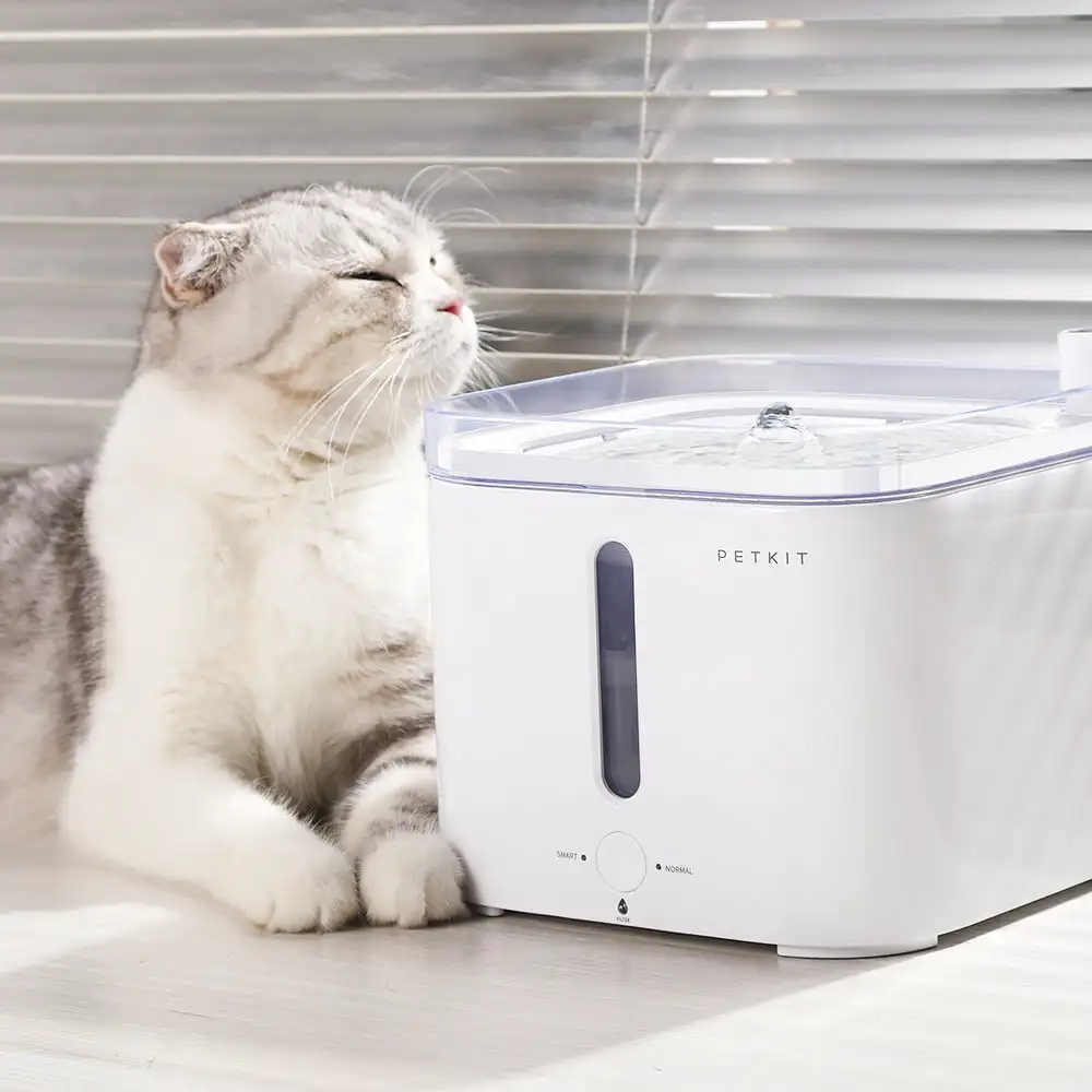 CANBOUN EVERSWEET Series Pet S - Automatic Pet Feeder 리뷰 및 가격