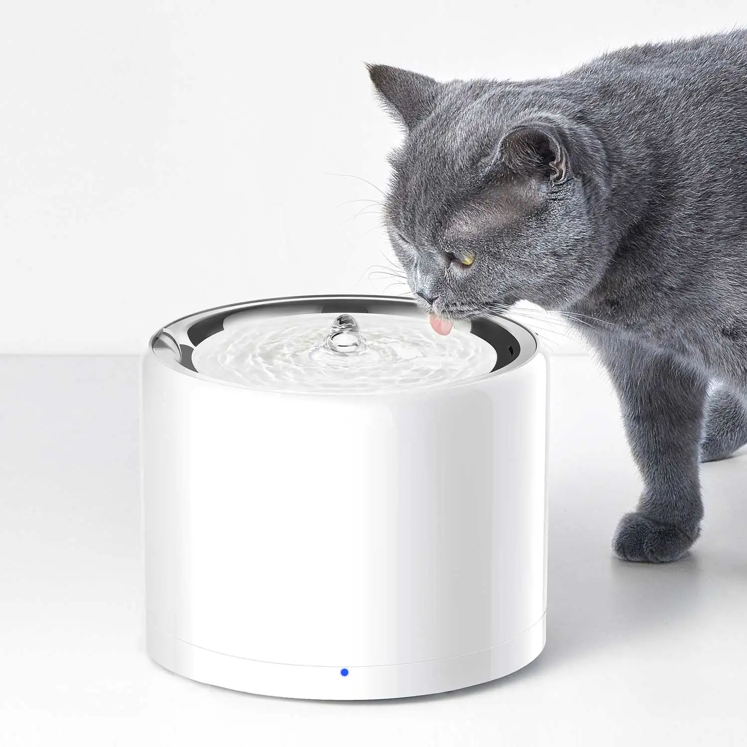 CANBOUN EVERSWEET Series Pet S - Automatic Pet Feeder 리뷰 및 가격