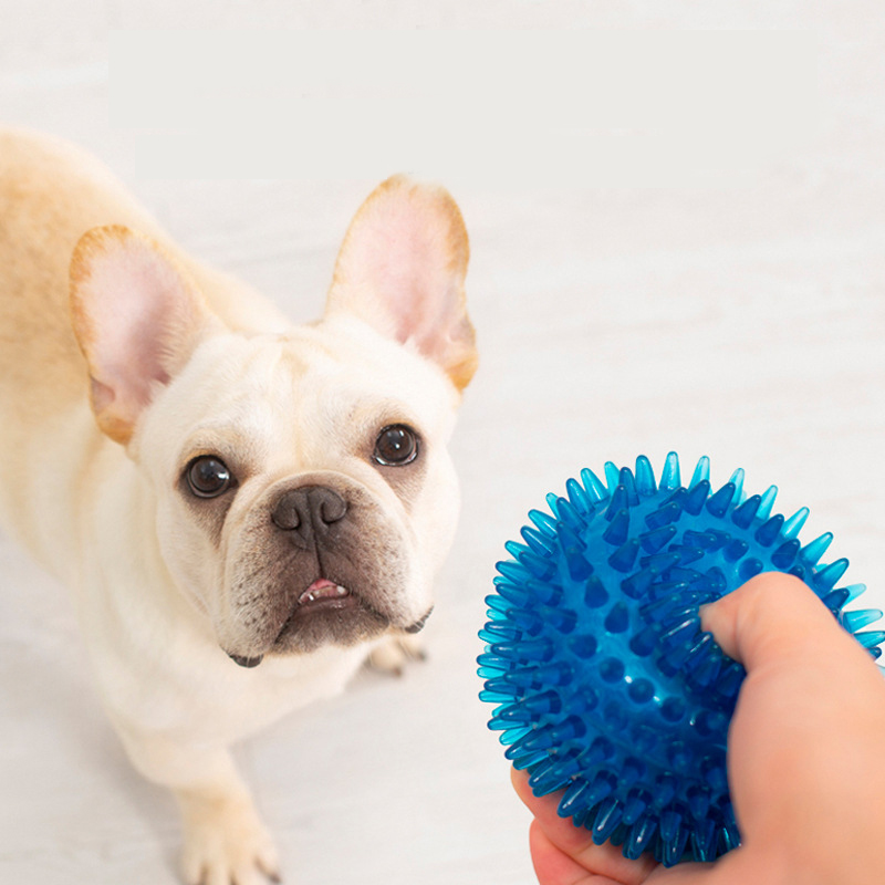 High Elasticity French Bulldog - Pet Supplies In Bulk 리뷰 및 가격
