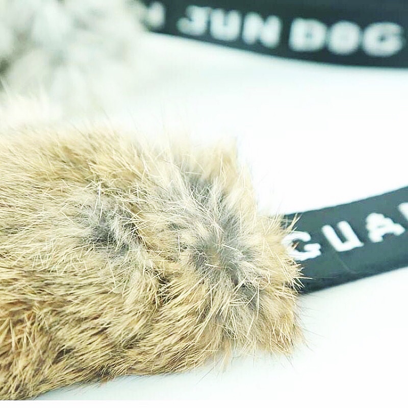 High-Quality Rabbit Skin Dog B - Pet Supplies Young 리뷰 및 가격
