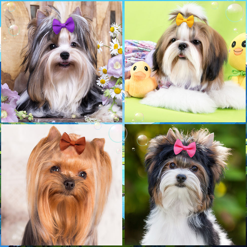 50PCS Puppy Bows With Rubber B - Pet Supplies In Bulk 리뷰 및 가격