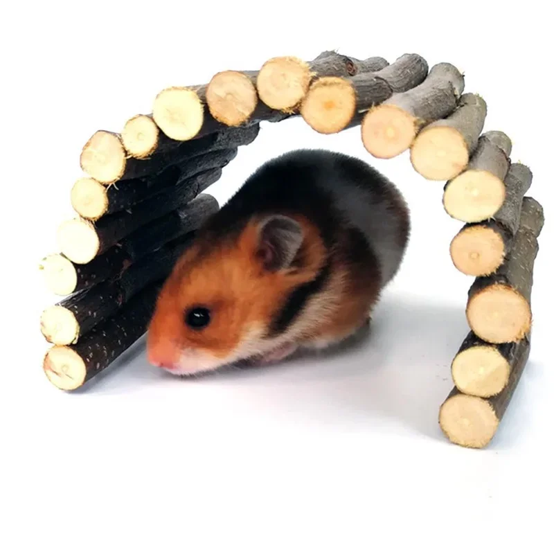 Small Pet Molar Willow Branch  - Pet Supplies Login 리뷰 및 가격