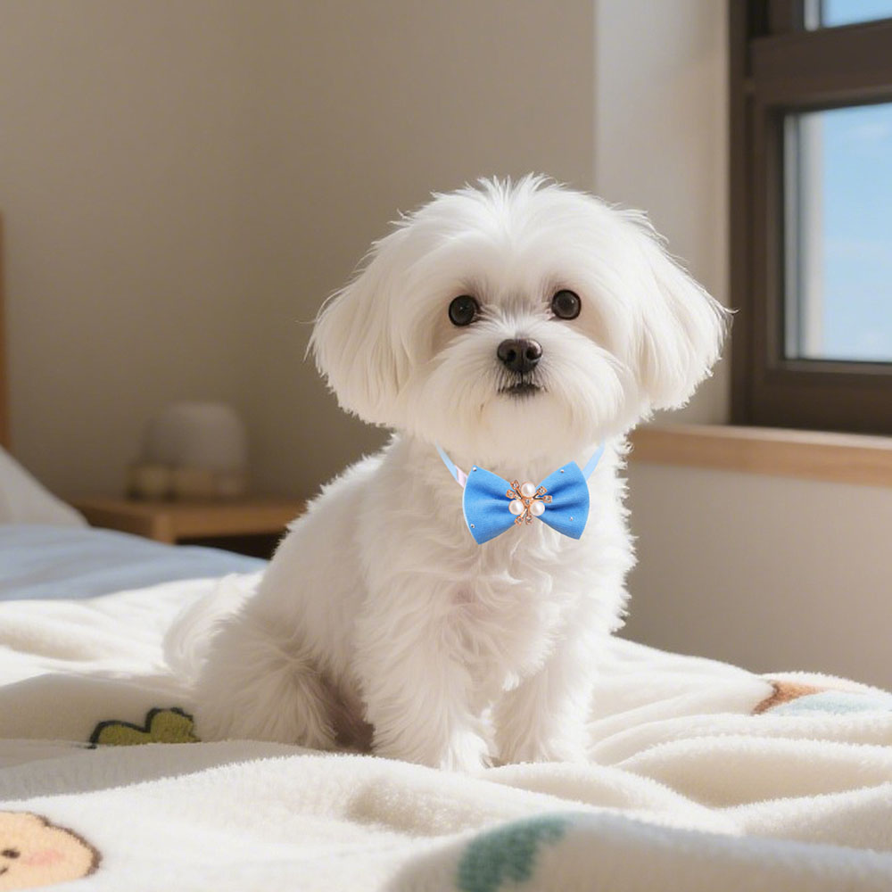 50pcs Bulk Pet Dog Bow Tie Fas - Pet Supplies In Bulk 리뷰 및 가격