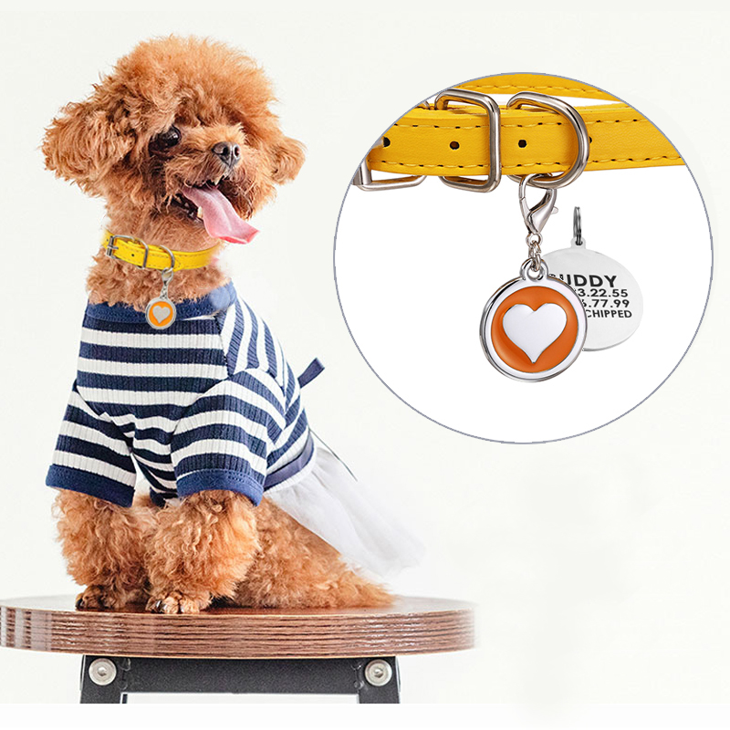 Pet Cat Dog Leather Collar Sta - Pet Supplies Login 리뷰 및 가격