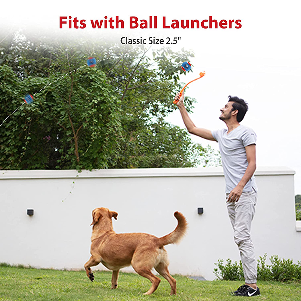 Pet Dog Squeaky Tennis Ball In - Pet Supplies In Bulk 리뷰 및 가격