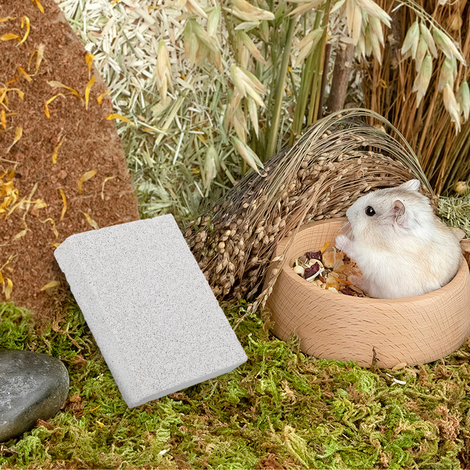 Pet Nail Grooming Board Volcan - Pet Nail Grinder 리뷰 및 가격