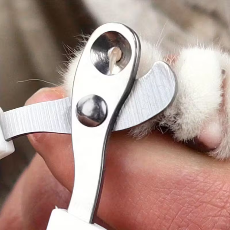 1pc Pet Nail Grooming Kit - St - Pet Nail Grinder 리뷰 및 가격