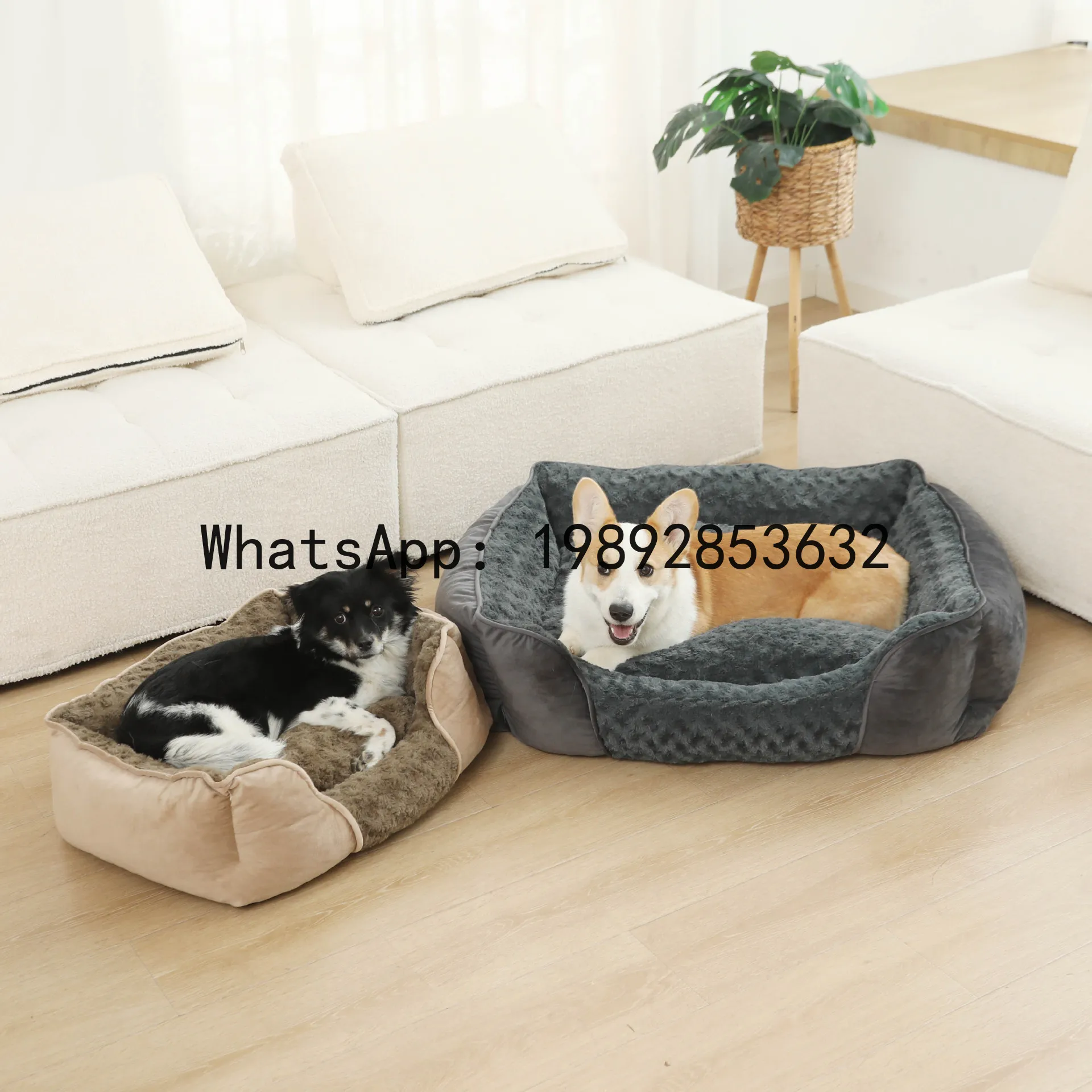 X cat house semi-enclosed dog  - Pet X Supplies & Tack Howell Photos 리뷰 및 가격