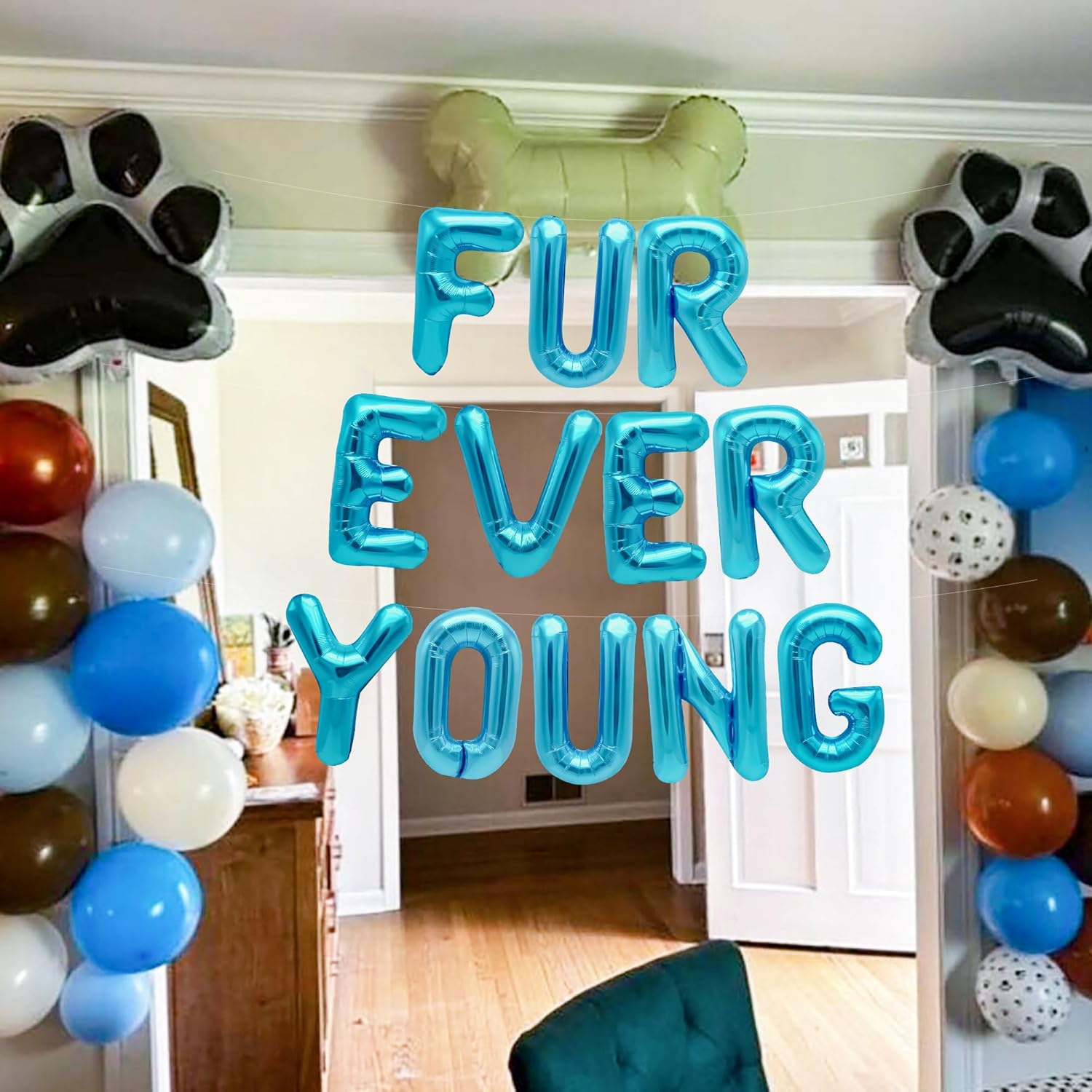15 PCS Blue Dog Birthday Party - Pet Supplies Young 리뷰 및 가격