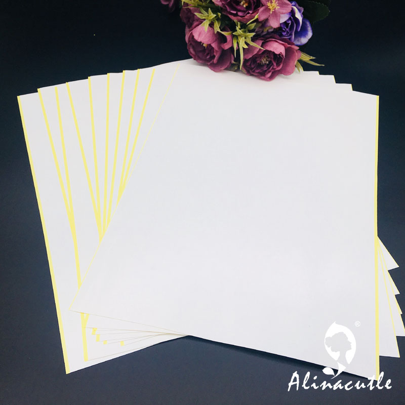10PC X A4 Double Sided Tape St - Pet X Supplies & Tack Howell Photos 리뷰 및 가격