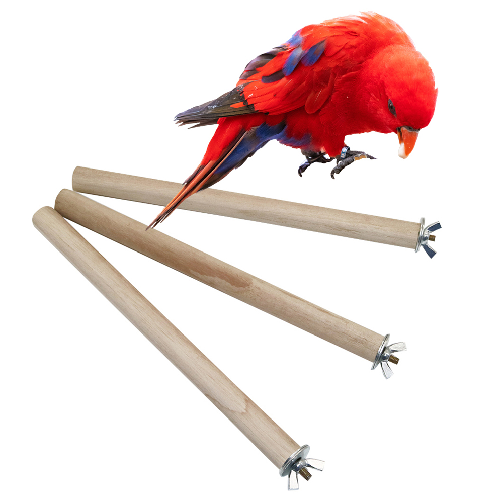 1 Pc Parrot Pigeon Pet Bird Lo - Pet Supplies Login 리뷰 및 가격