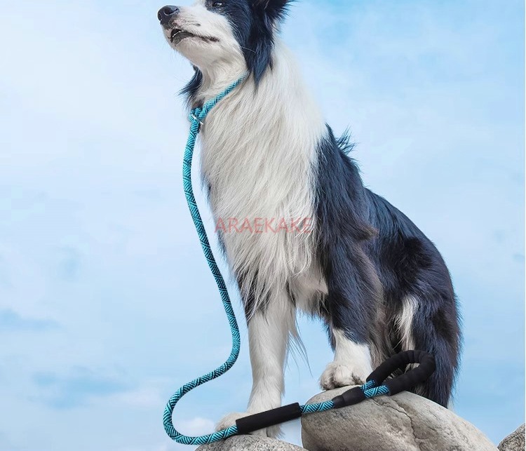 P rope explosion-proof walking - Pet Supplies Young 리뷰 및 가격