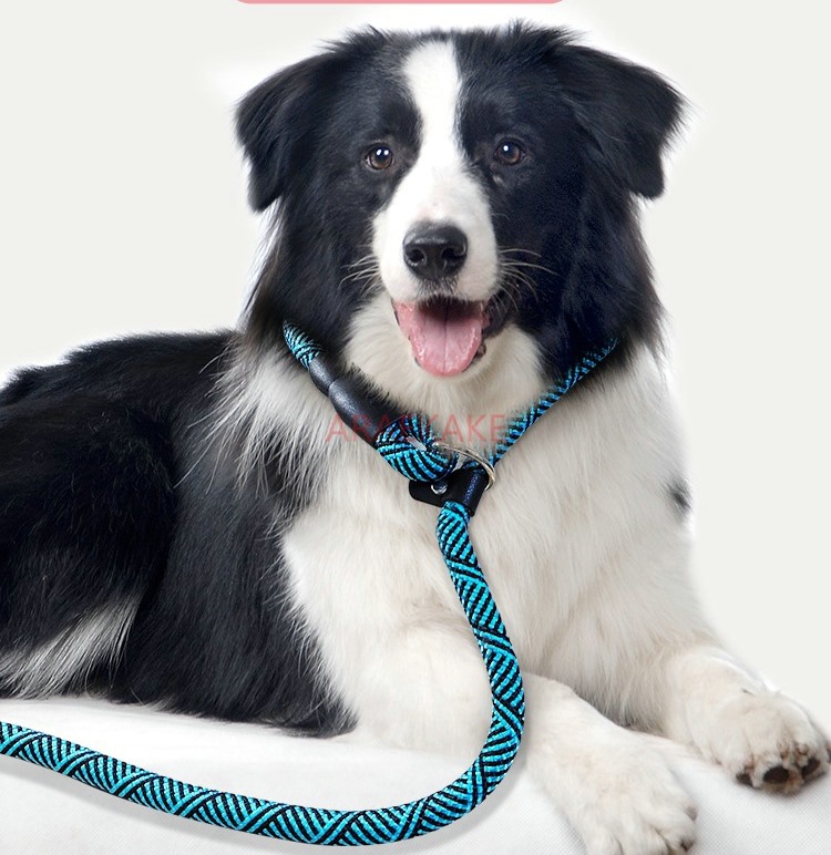 P rope explosion-proof walking - Pet Supplies Young 리뷰 및 가격