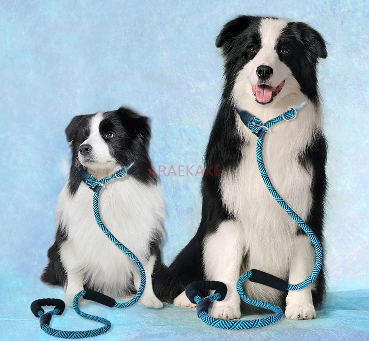 P rope explosion-proof walking - Pet Supplies Young 리뷰 및 가격