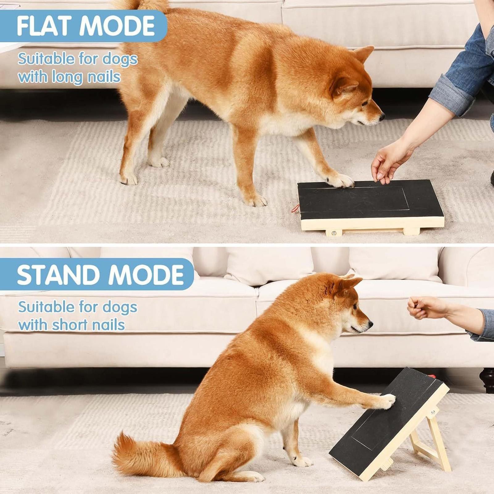 Dog Nail Scratch Board with Bu - Pet Nail Grinder 리뷰 및 가격