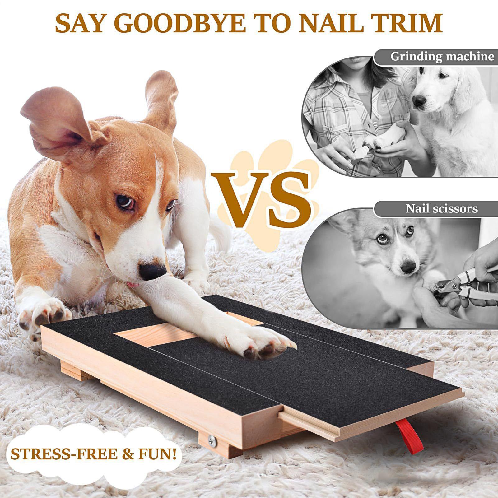 Dog Nail Scratch Board with Bu - Pet Nail Grinder 리뷰 및 가격