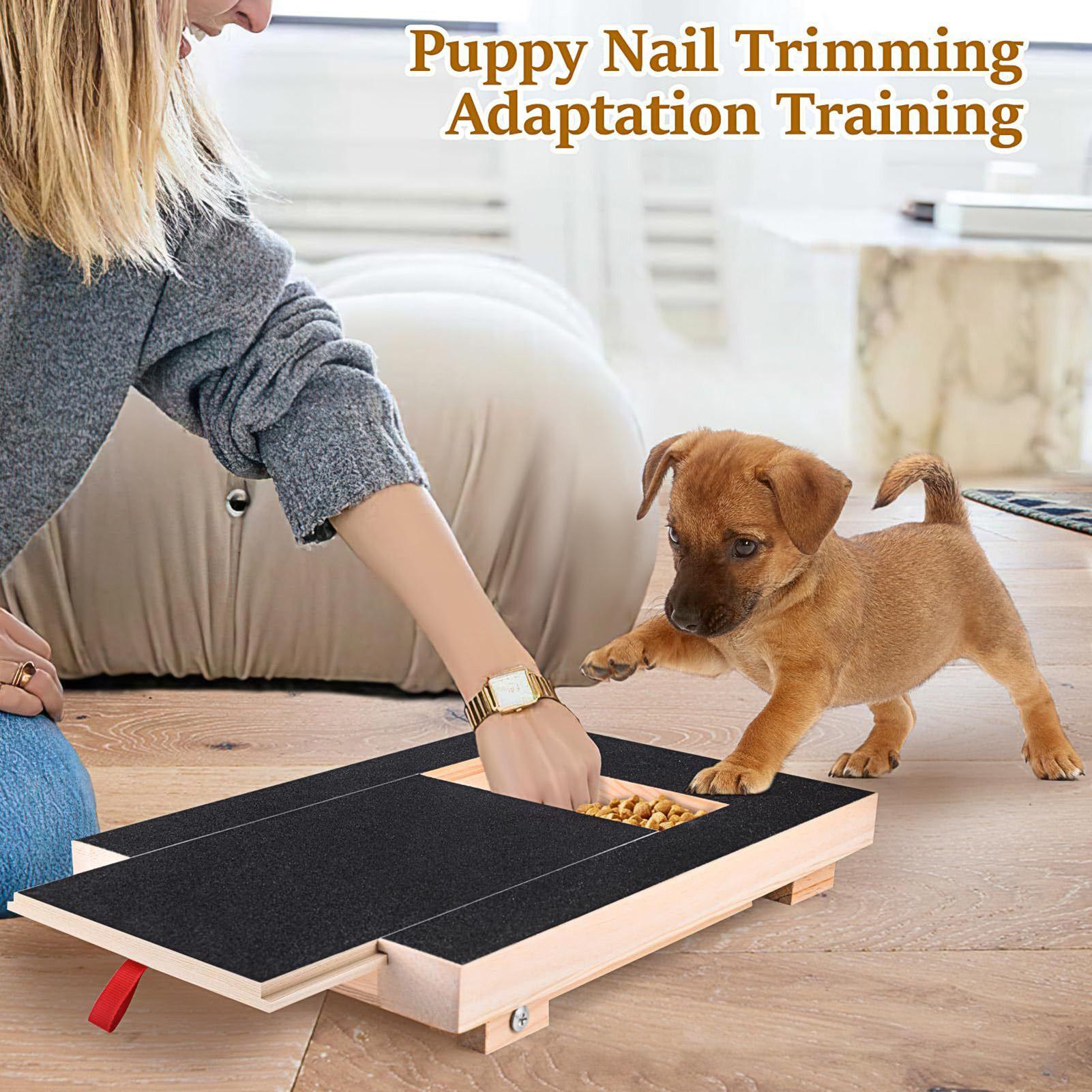 Dog Nail Scratch Board with Bu - Pet Nail Grinder 리뷰 및 가격