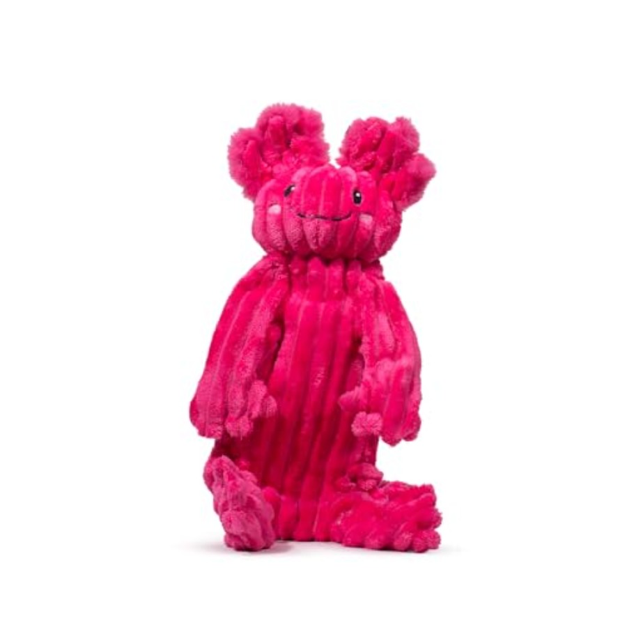 X-Brace Squeaky Dog Toy - Inte - Pet X Supplies & Tack Howell Photos 리뷰 및 가격