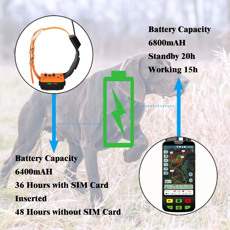 2026 Canine Health GPS Tracker - Pet Supplies Login 리뷰 및 가격