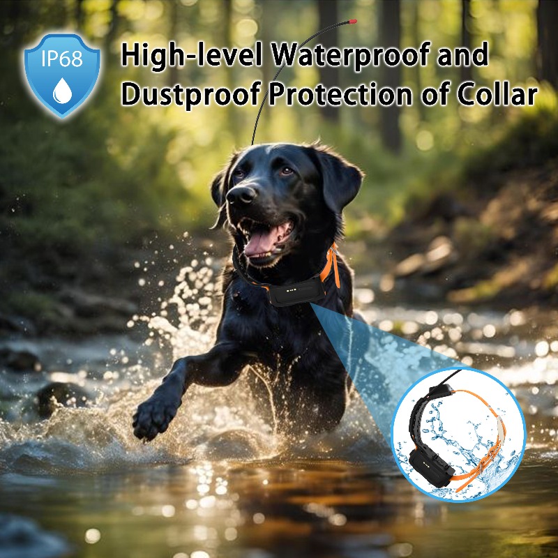 2026 Canine Health GPS Tracker - Pet Supplies Login 리뷰 및 가격