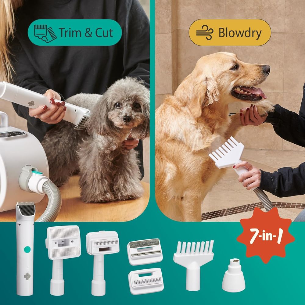 Pet Grooming Essentials: Clipp - Pet Nail Grinder 리뷰 및 가격