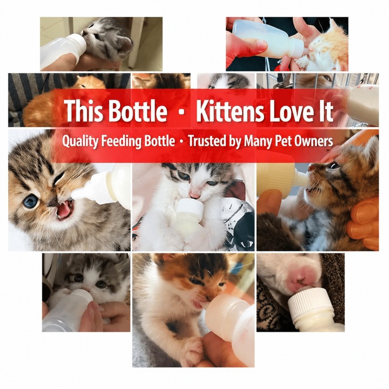 Newborn Pet Feeding Bottle Sof - Pet Supplies Young 리뷰 및 가격