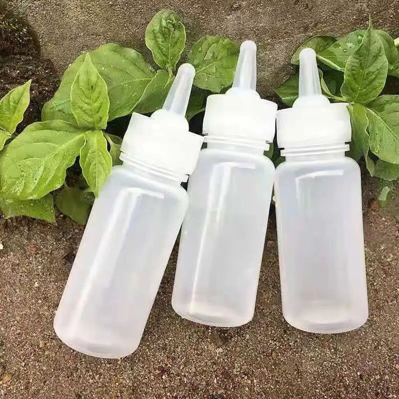 Newborn Pet Feeding Bottle Sof - Pet Supplies Young 리뷰 및 가격