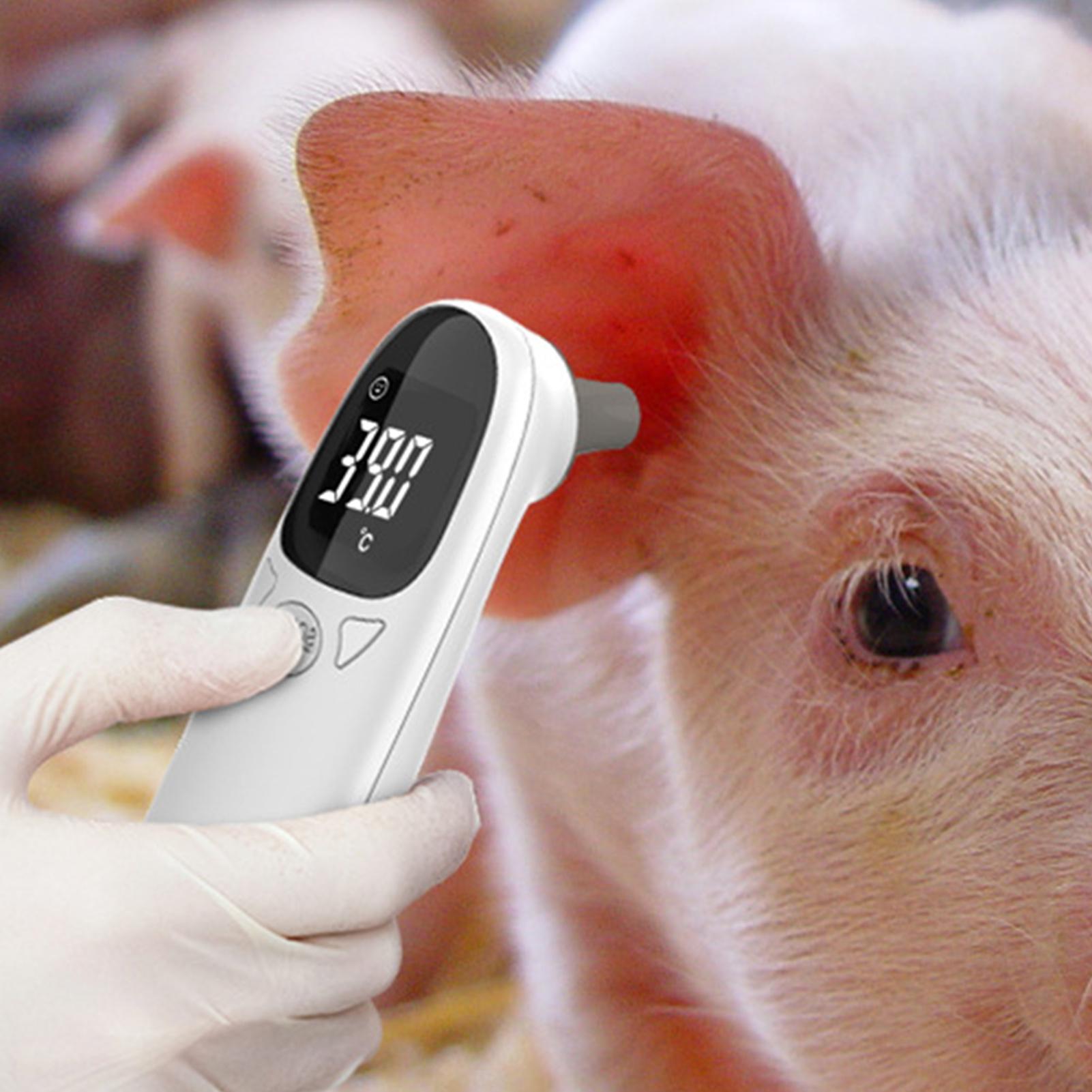 Dog Cat Ear Thermometer Medica - Pet Supplies In Bulk 리뷰 및 가격