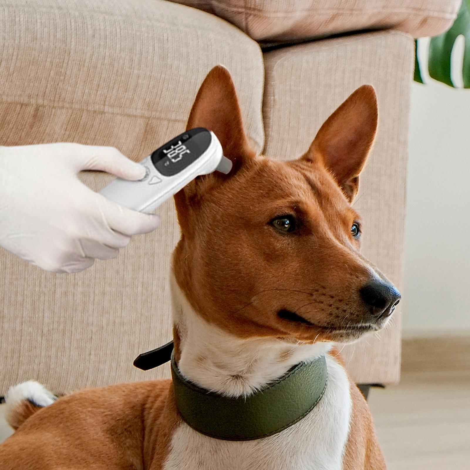 Dog Cat Ear Thermometer Medica - Pet Supplies In Bulk 리뷰 및 가격
