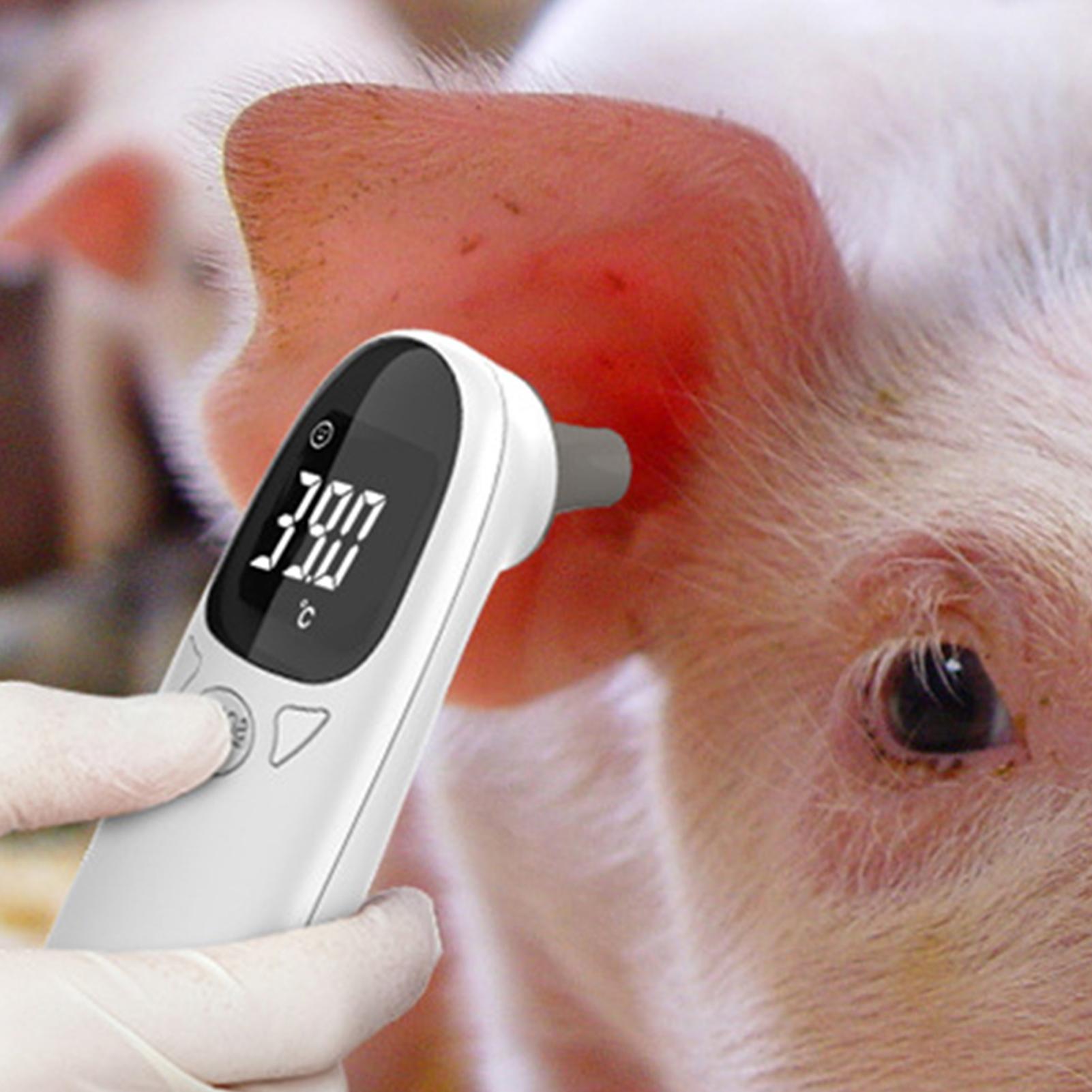 Dog Cat Ear Thermometer Medica - Pet Supplies In Bulk 리뷰 및 가격