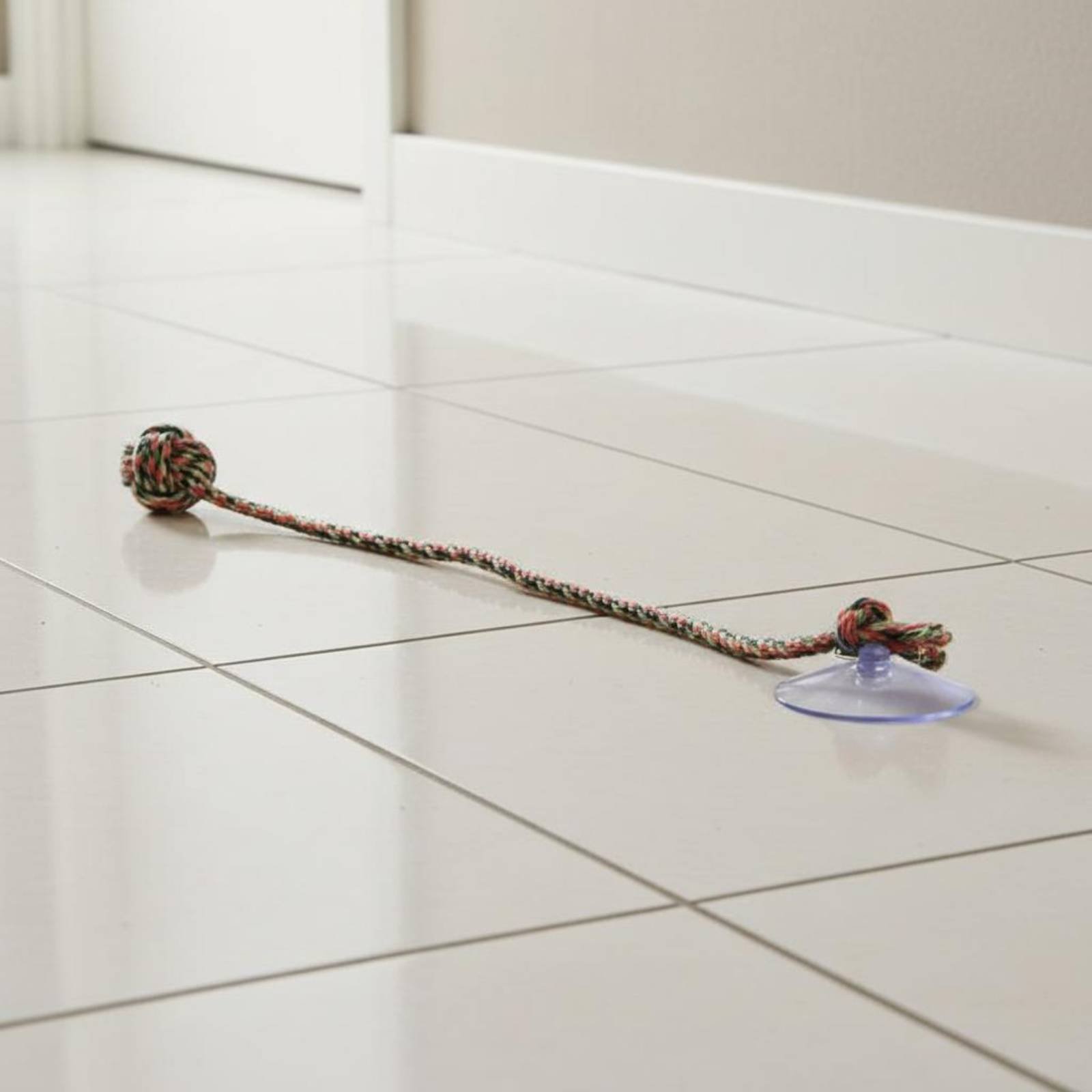 Suction Disc Dog Toy Gnaw Resi - Pet Supplies Young 리뷰 및 가격