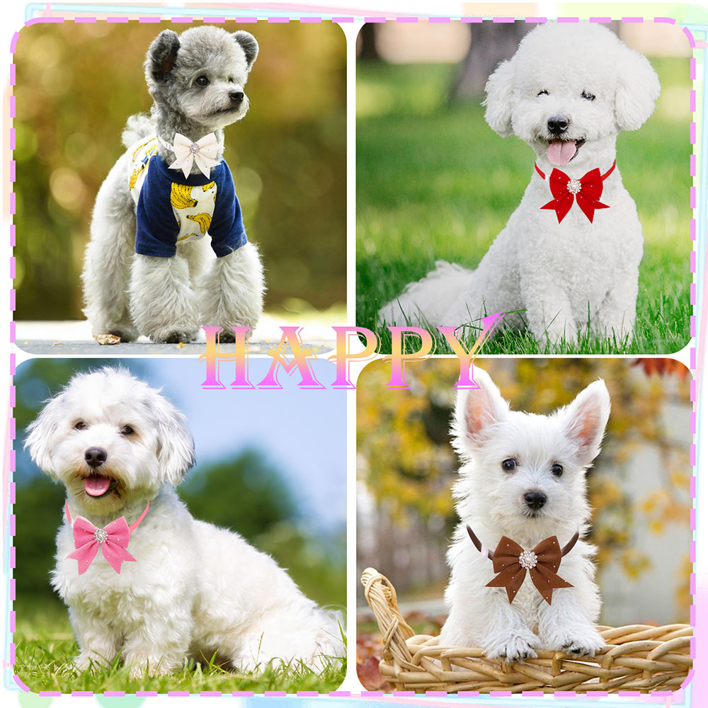 8PCS Dog Collar Floral Ribbon  - Pet Supplies In Bulk 리뷰 및 가격