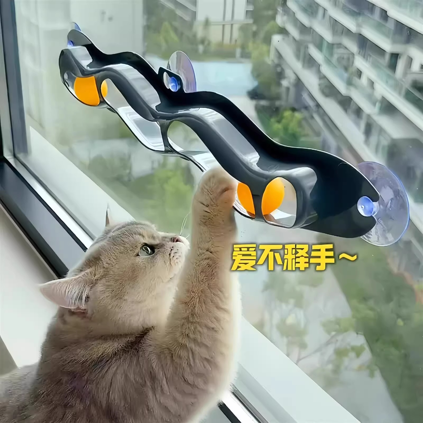  Toy Suction Cup Window Tra Te - Pet Supplies Young 리뷰 및 가격