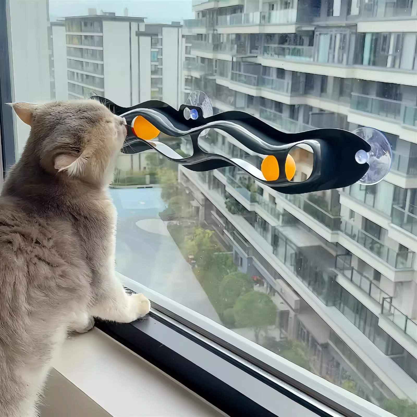  Toy Suction Cup Window Tra Te - Pet Supplies Young 리뷰 및 가격
