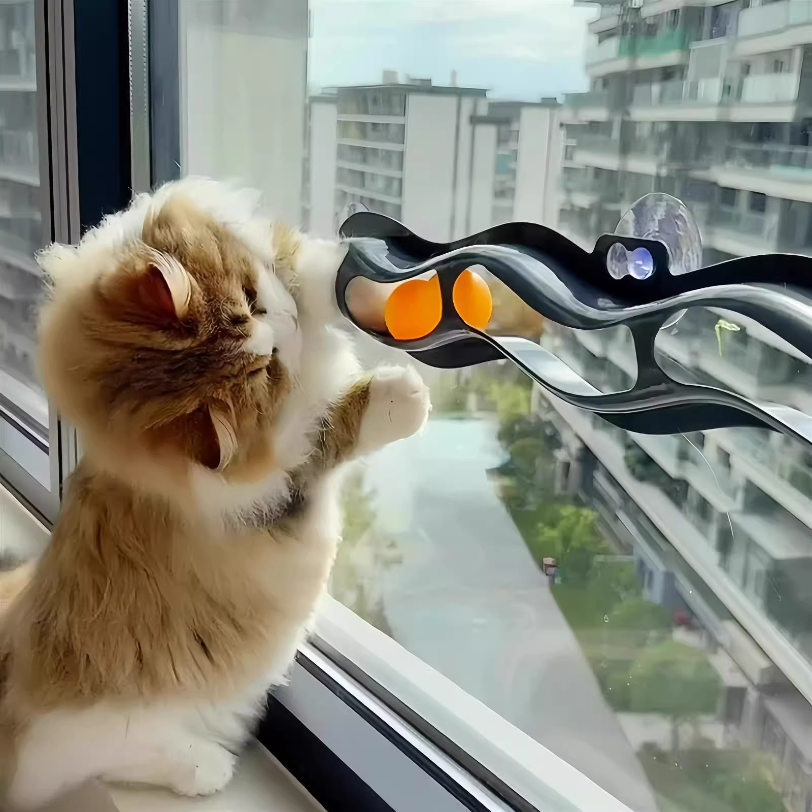  Toy Suction Cup Window Tra Te - Pet Supplies Young 리뷰 및 가격