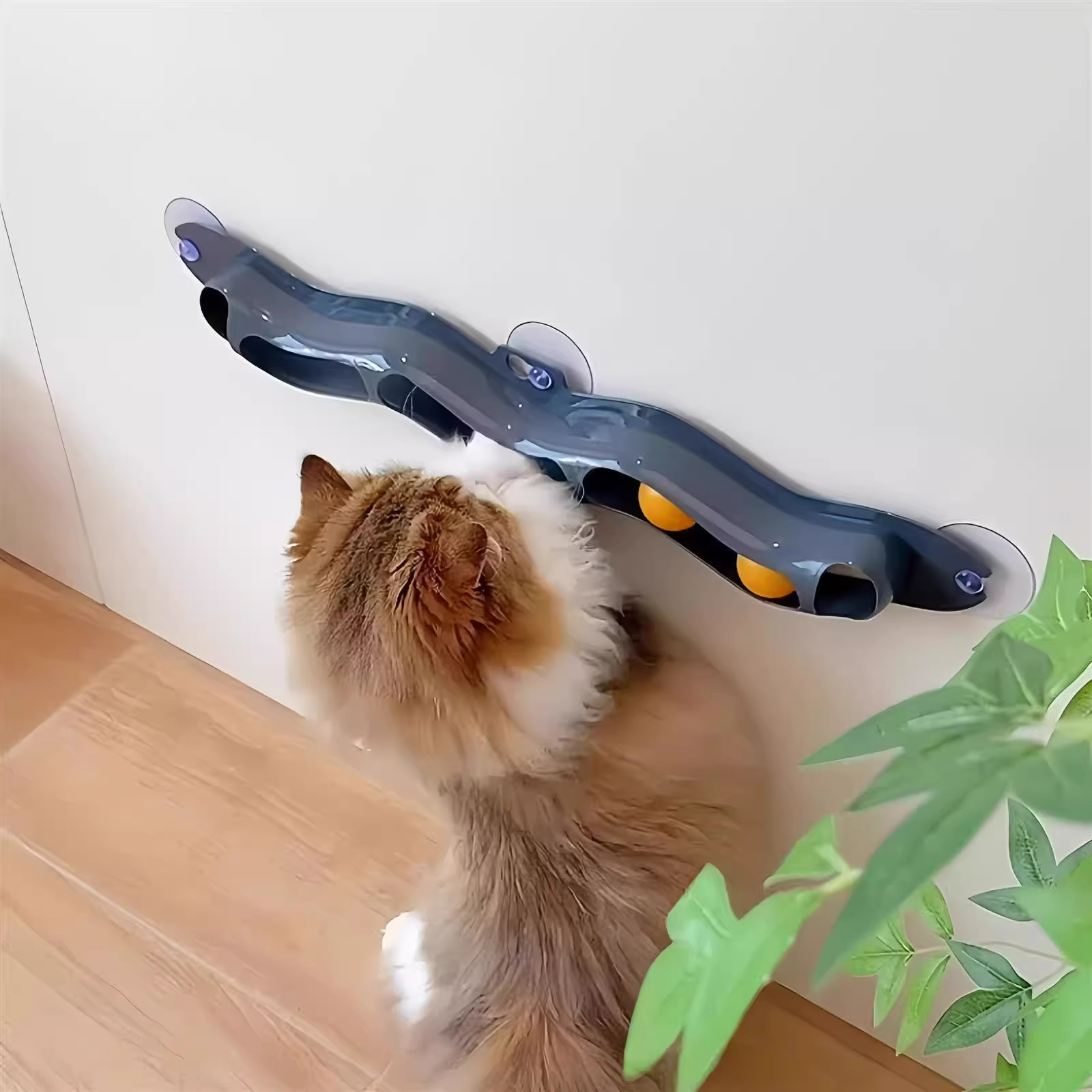 Toy Suction Cup Window Tra Te - Pet Supplies Young 리뷰 및 가격