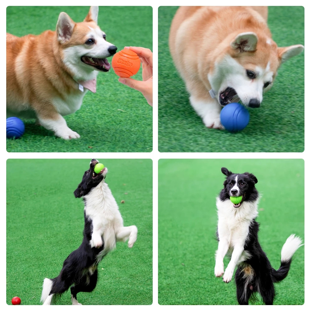 Pet Dog Toys Dog Ball Dog Boun - Pet Supplies In Bulk 리뷰 및 가격