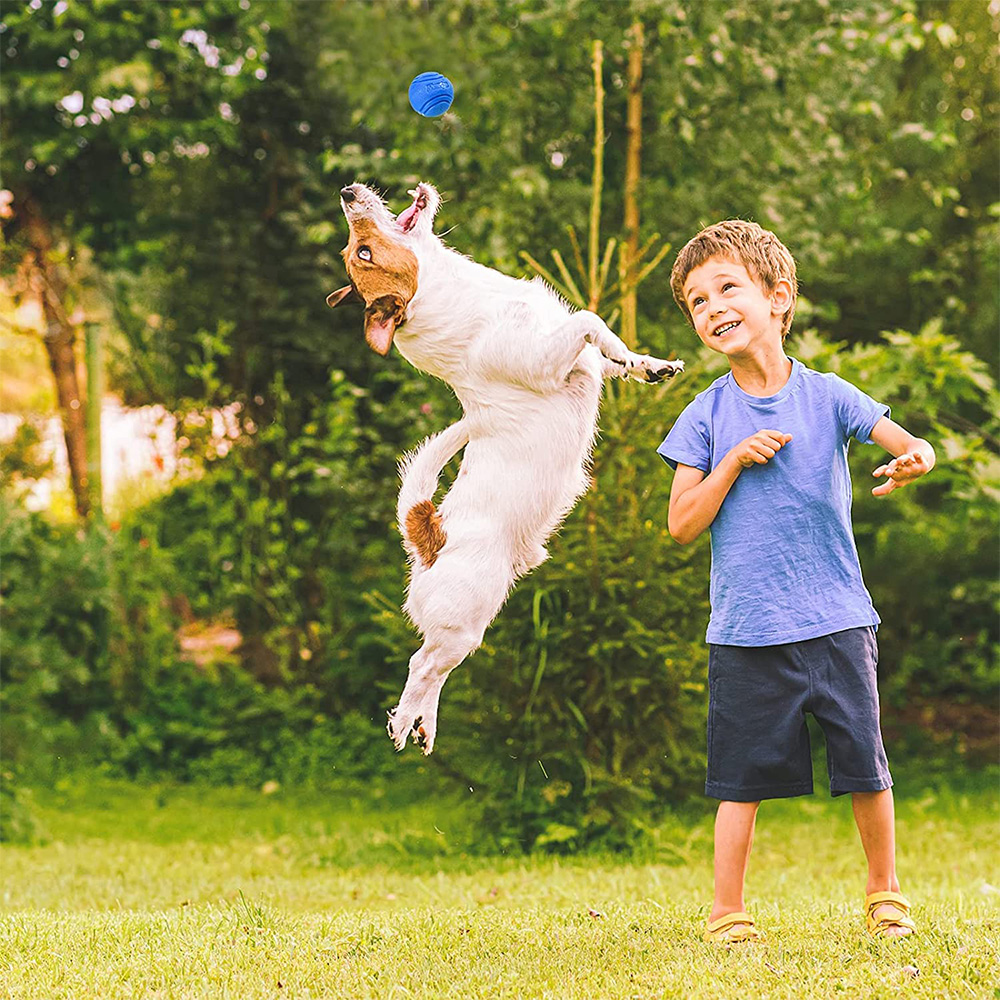 Pet Dog Toys Dog Ball Dog Boun - Pet Supplies In Bulk 리뷰 및 가격