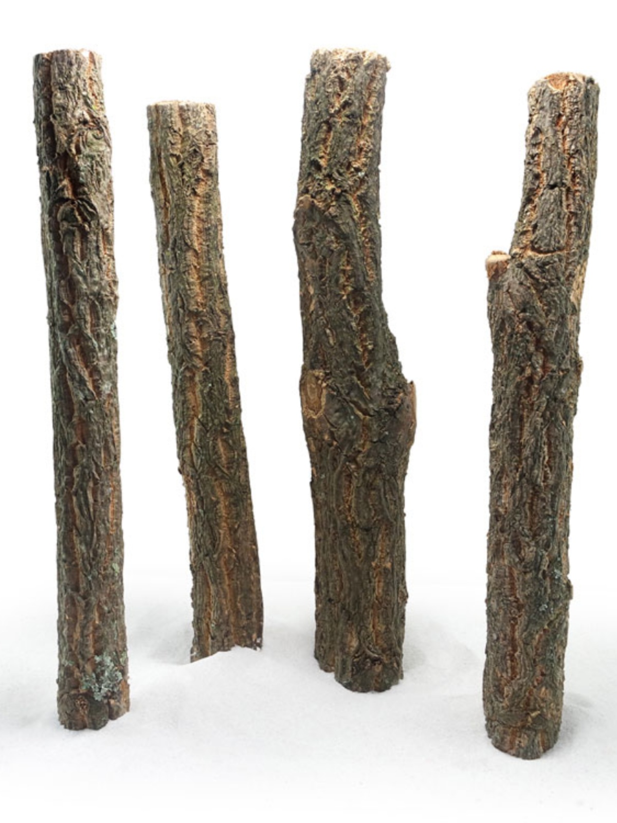 Natural Wooden Log Aquarium De - Pet Supplies Login 리뷰 및 가격