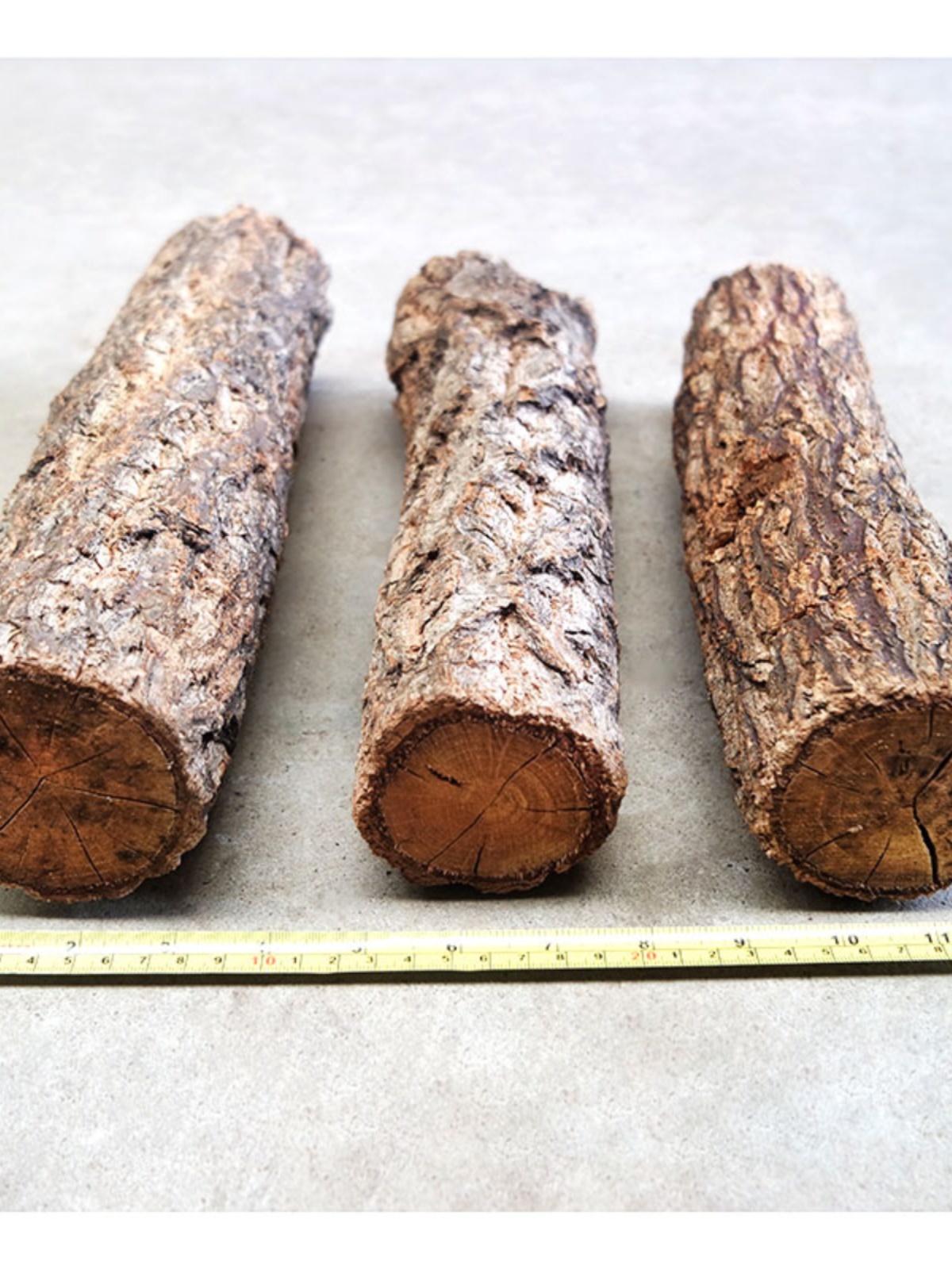 Natural Wooden Log Aquarium De - Pet Supplies Login 리뷰 및 가격