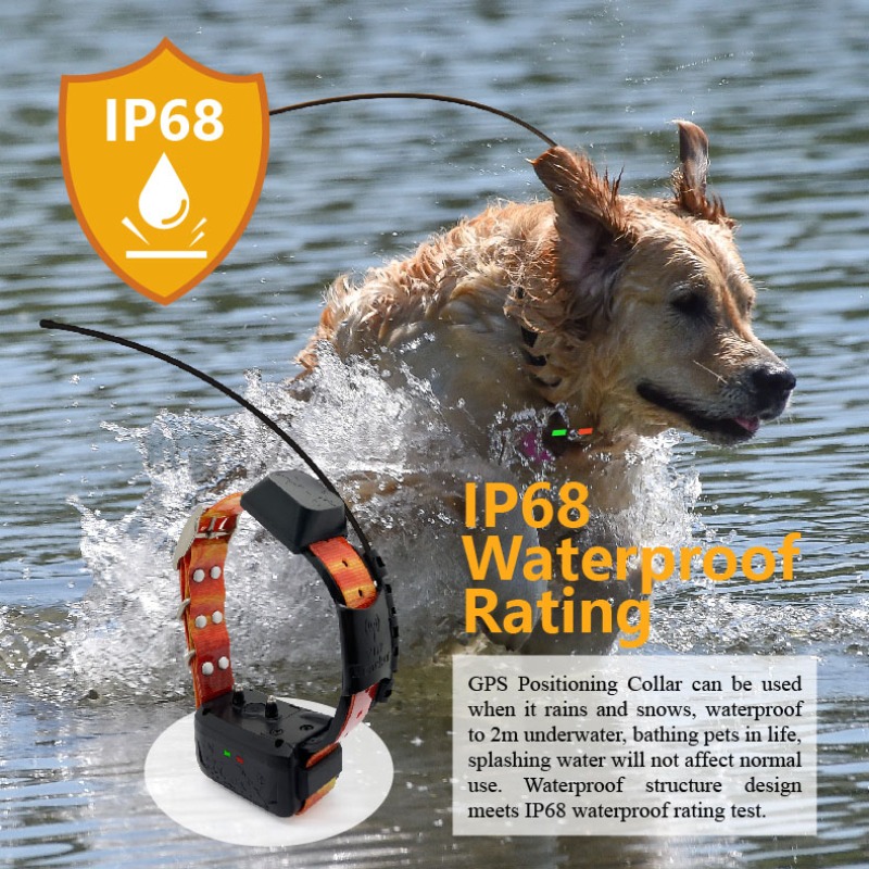 Enterprise Dog GPS Fence Manag - Pet Supplies Login 리뷰 및 가격